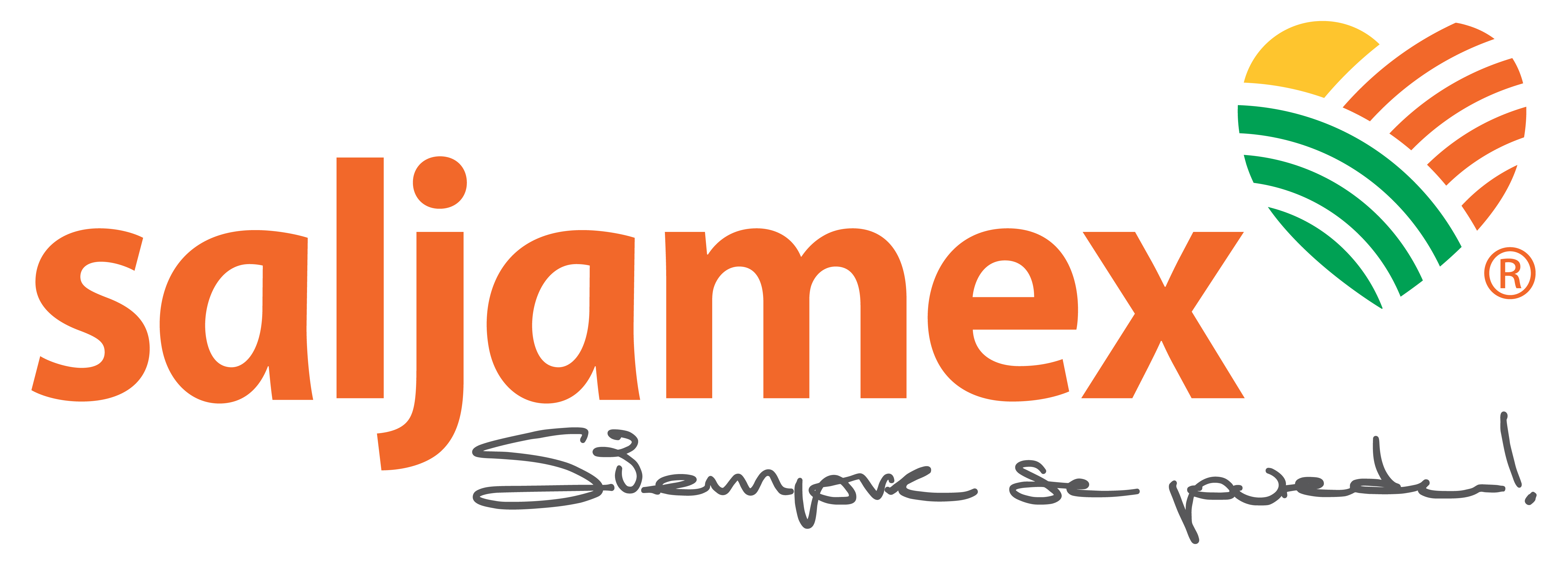 Logo Saljamex